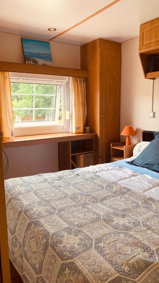 Petite Maison Dans La Prairie Cabanac-et-Villagrains Eksteriør billede