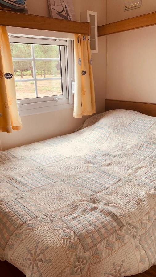 Petite Maison Dans La Prairie Cabanac-et-Villagrains Eksteriør billede